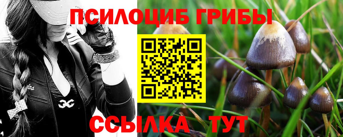 Галлюциногенные грибы Psilocybe  Вход с VPN  Кострома 